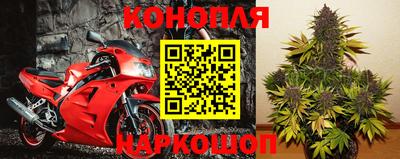ГАЛЛЮЦИНОГЕННЫЕ ГРИБЫ Малгобек