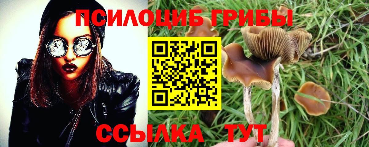 как найти закладки  Галлюциногенные грибы мицелий  Вход с VPN  Тверь 