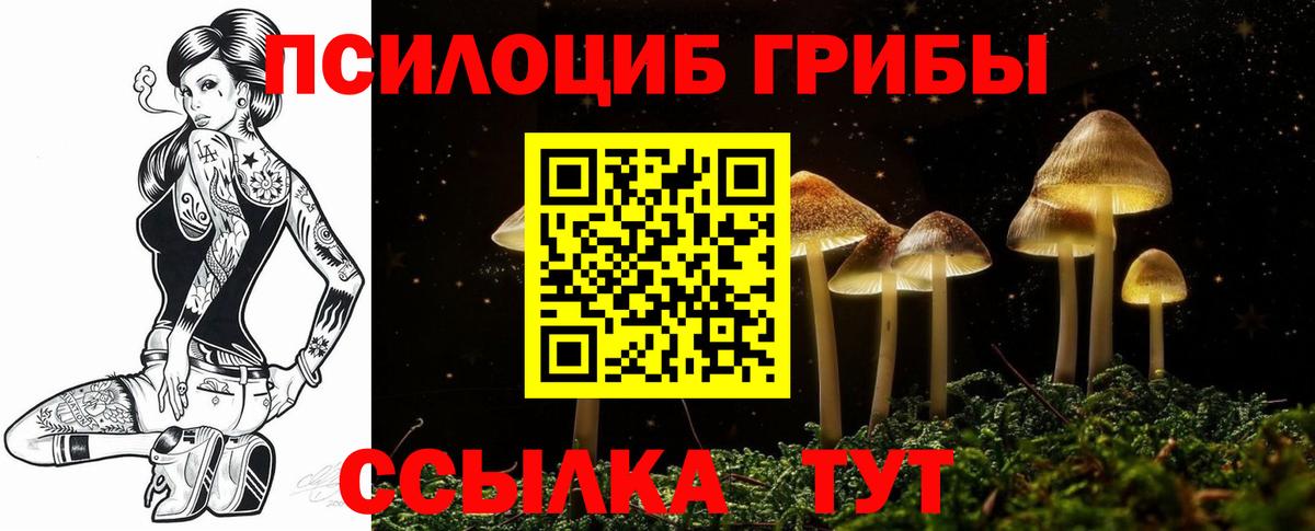 Галлюциногенные грибы Cubensis Тверь